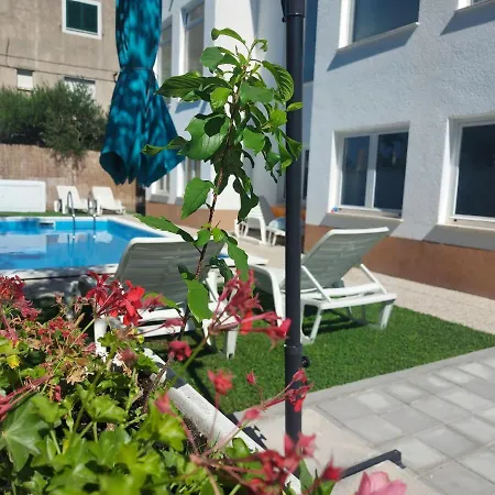 Apartment Karadza